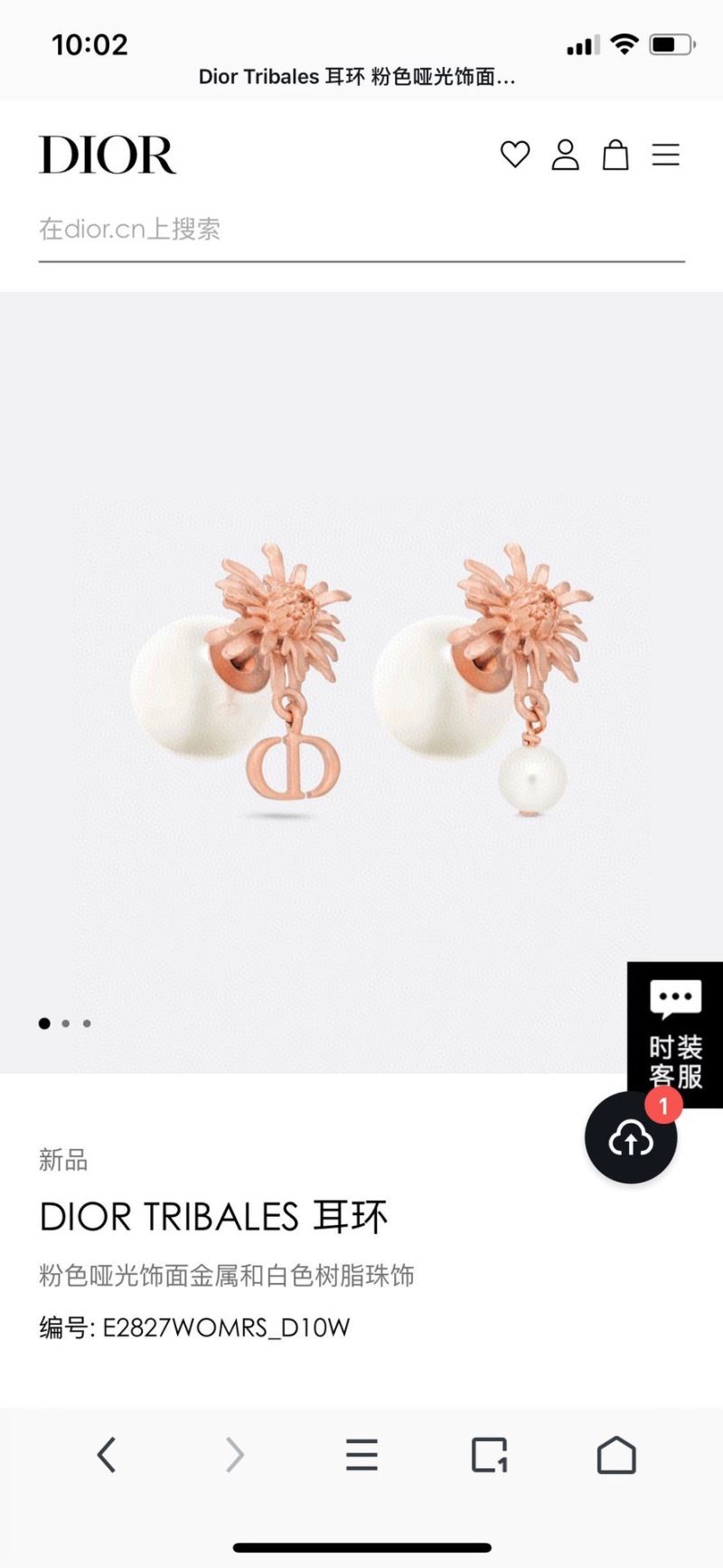 Christian Dior Earrings